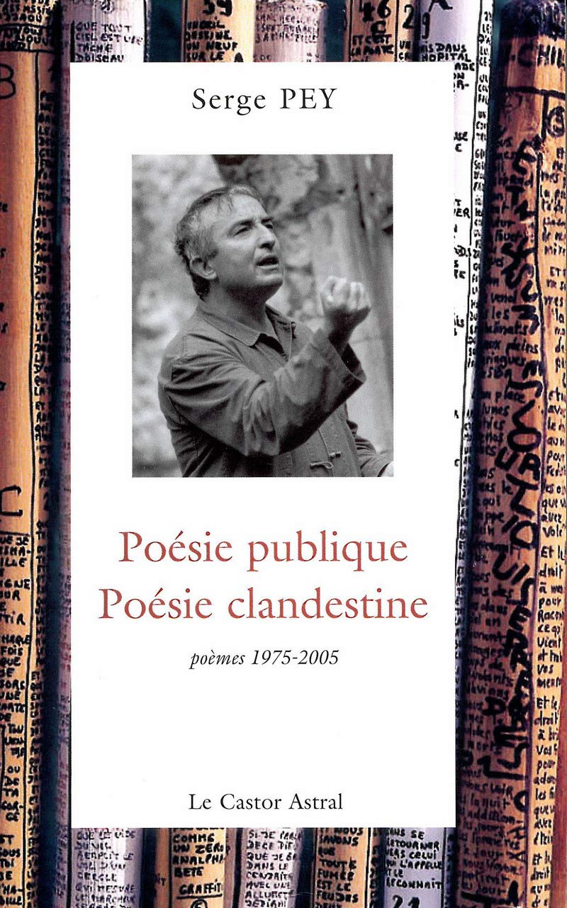 Poésie publique, poésie clandestine - poèmes 1975-2001 9782859206611