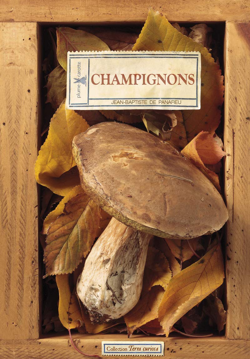 Champignons 9782366720013