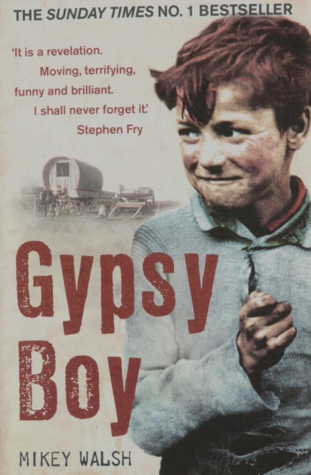 GYPSY BOY 9781444707427