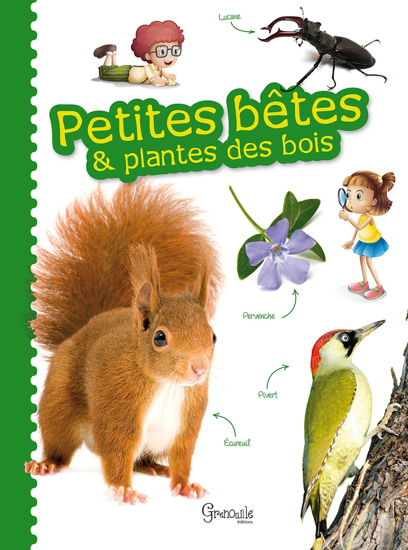 Petites bêtes & plantes des bois 9782366532135