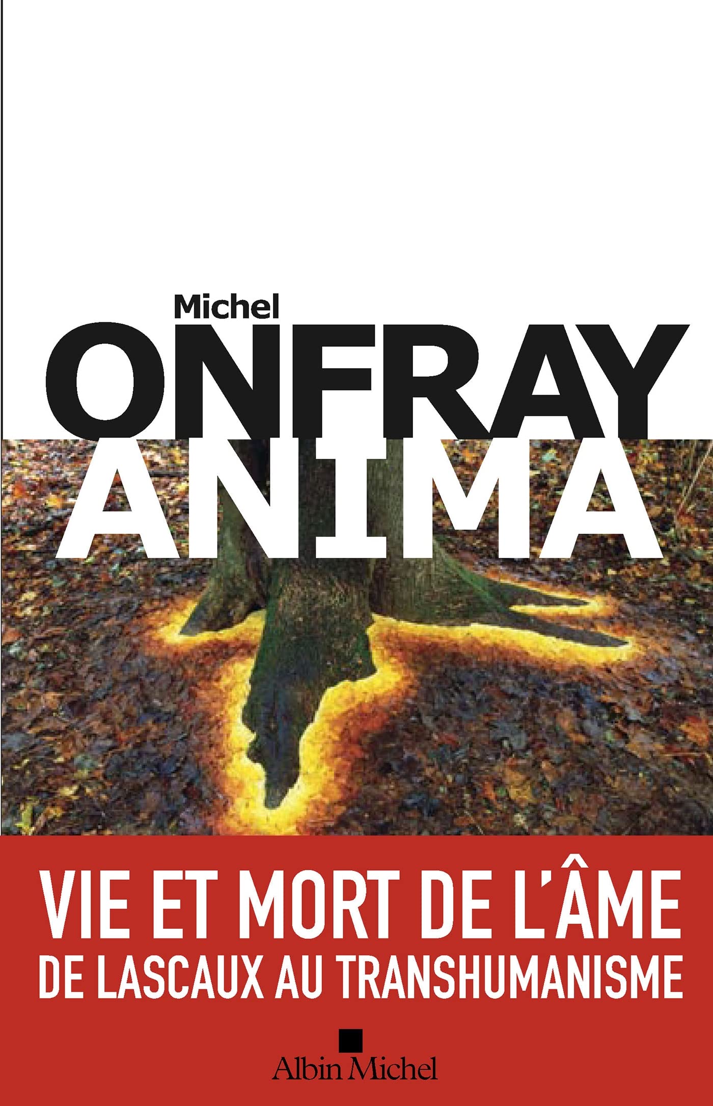 ANIMA - VIE ET MORT DE L'AME - DE LASCAUX AU TRANSHUMANISME 9782226448446