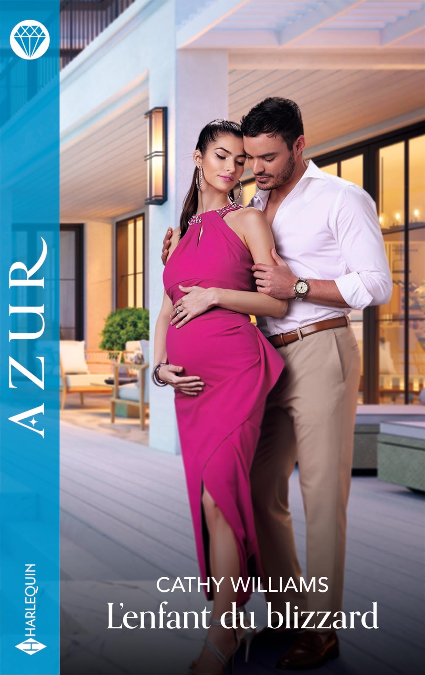 L'enfant du blizzard 9782280510318