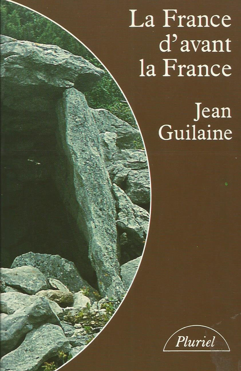 La France d'avant la France : Du néolithique à l'âge de fer (Collection Pluriel) 9782214061497