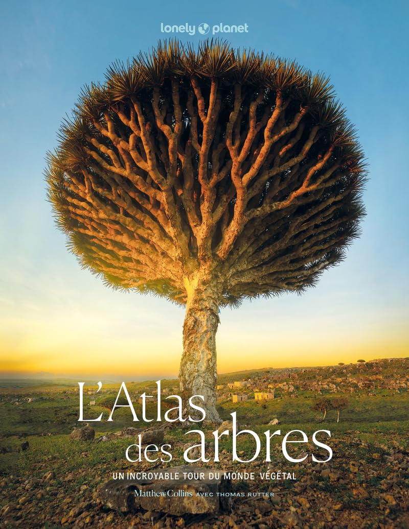 L'Atlas des arbres - Un incroyable tour du monde végétal - Lonely Planet 9782384928101