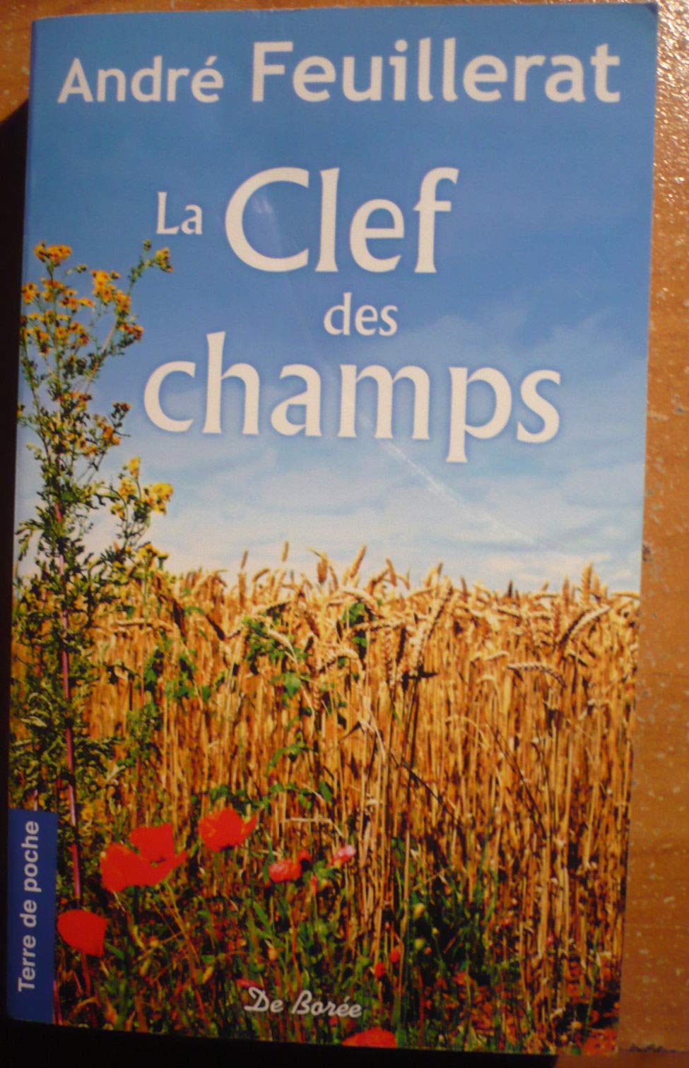 CLEF DES CHAMPS (LA) 9782844947314