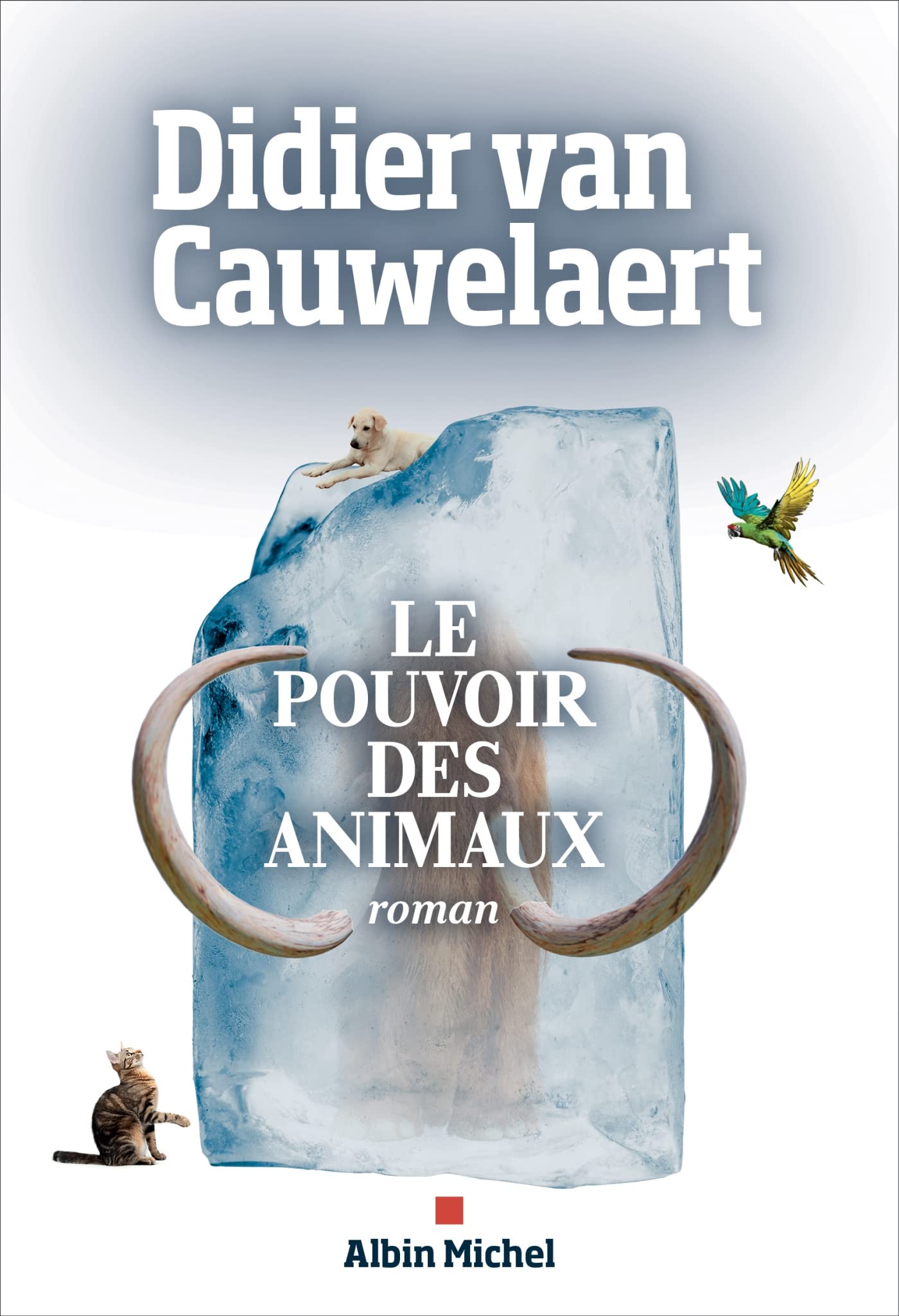 Le Pouvoir des animaux 9782226463975