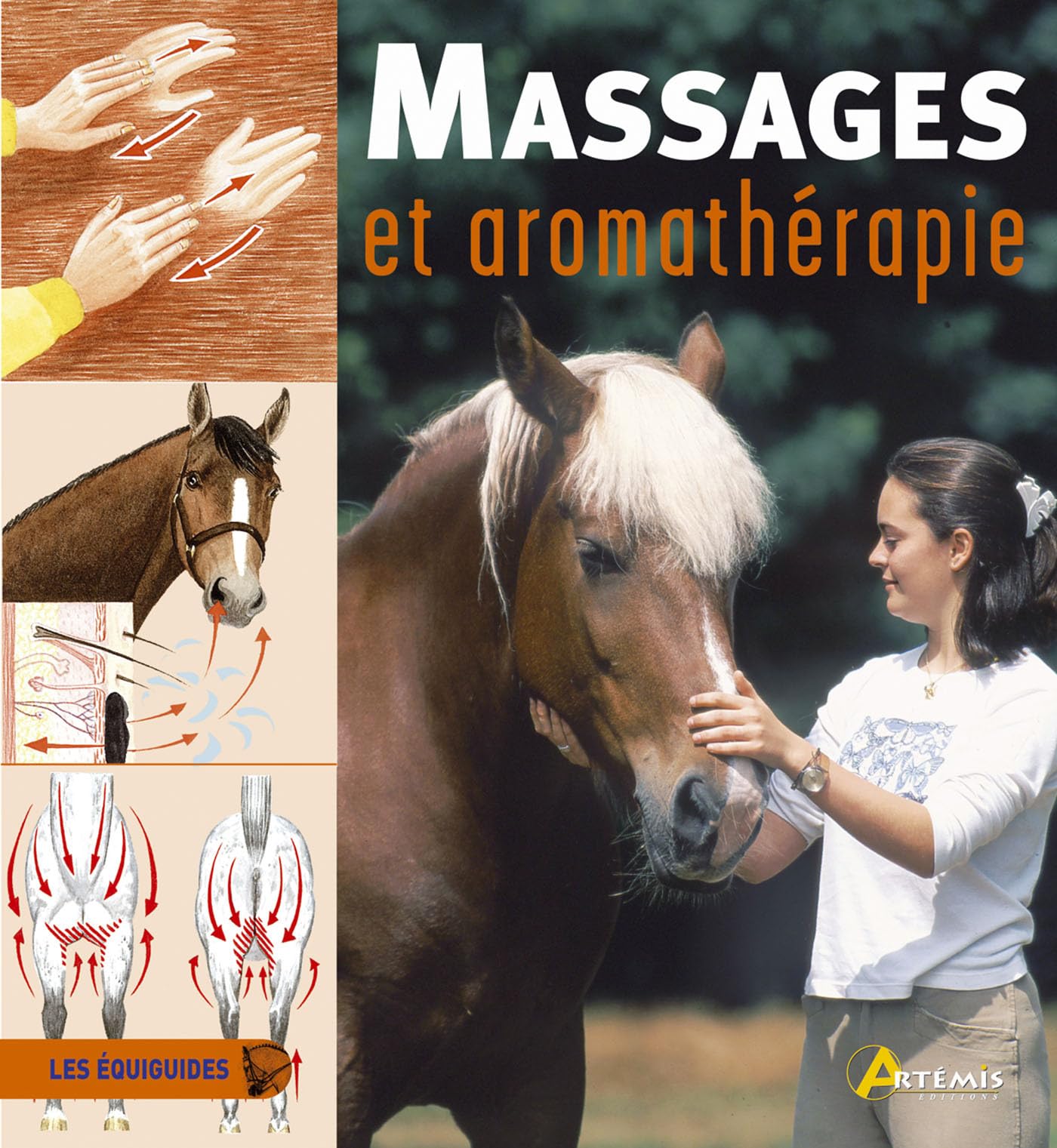 Massages et aromathérapie 9782844165619