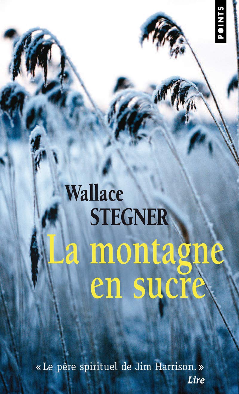 La Montagne en sucre 9782757815090