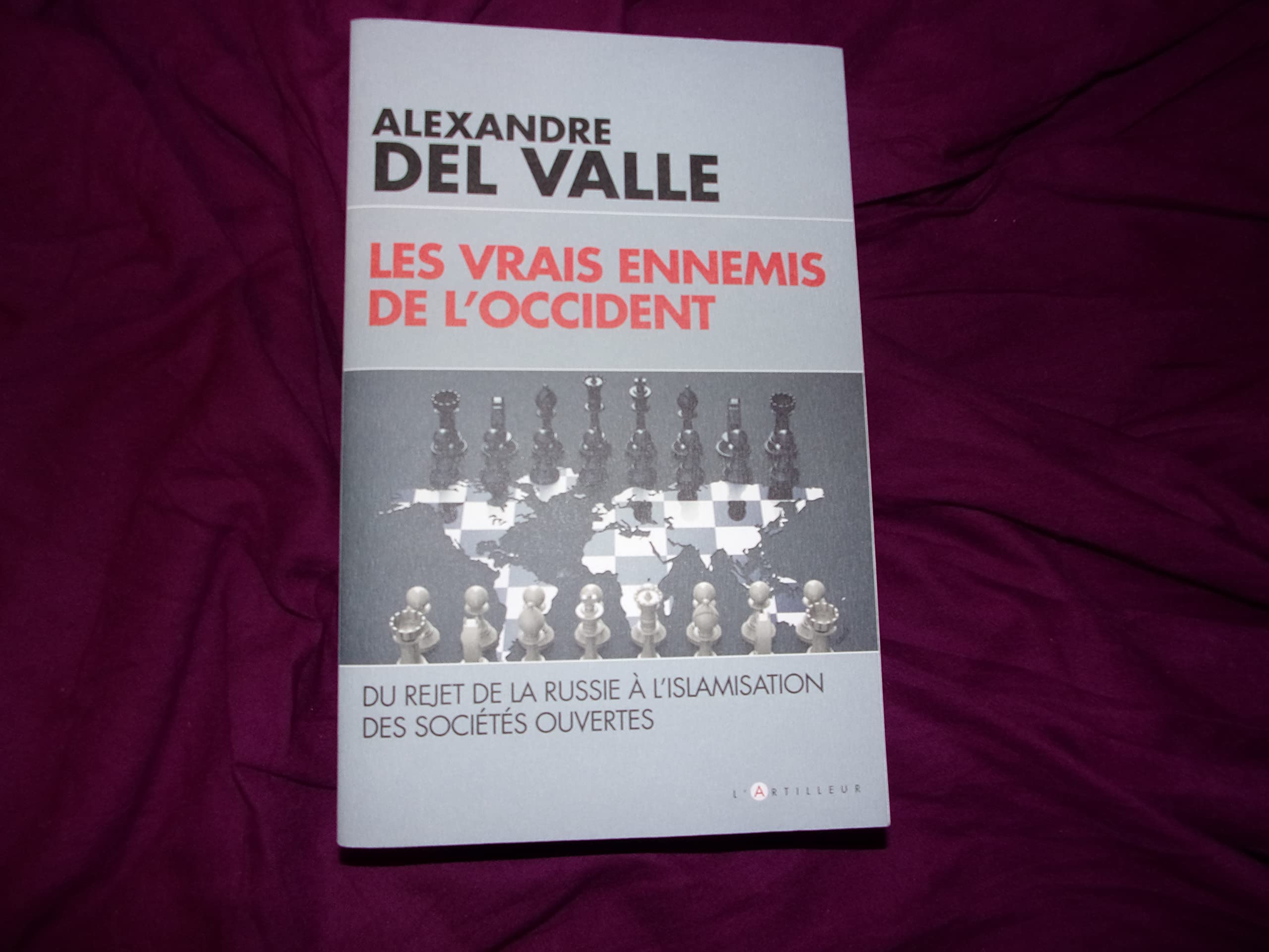 Les vrais ennemis de l'Occident: Du rejet de la Russie à l'islamisation des sociétés ouvertes 9782810007271