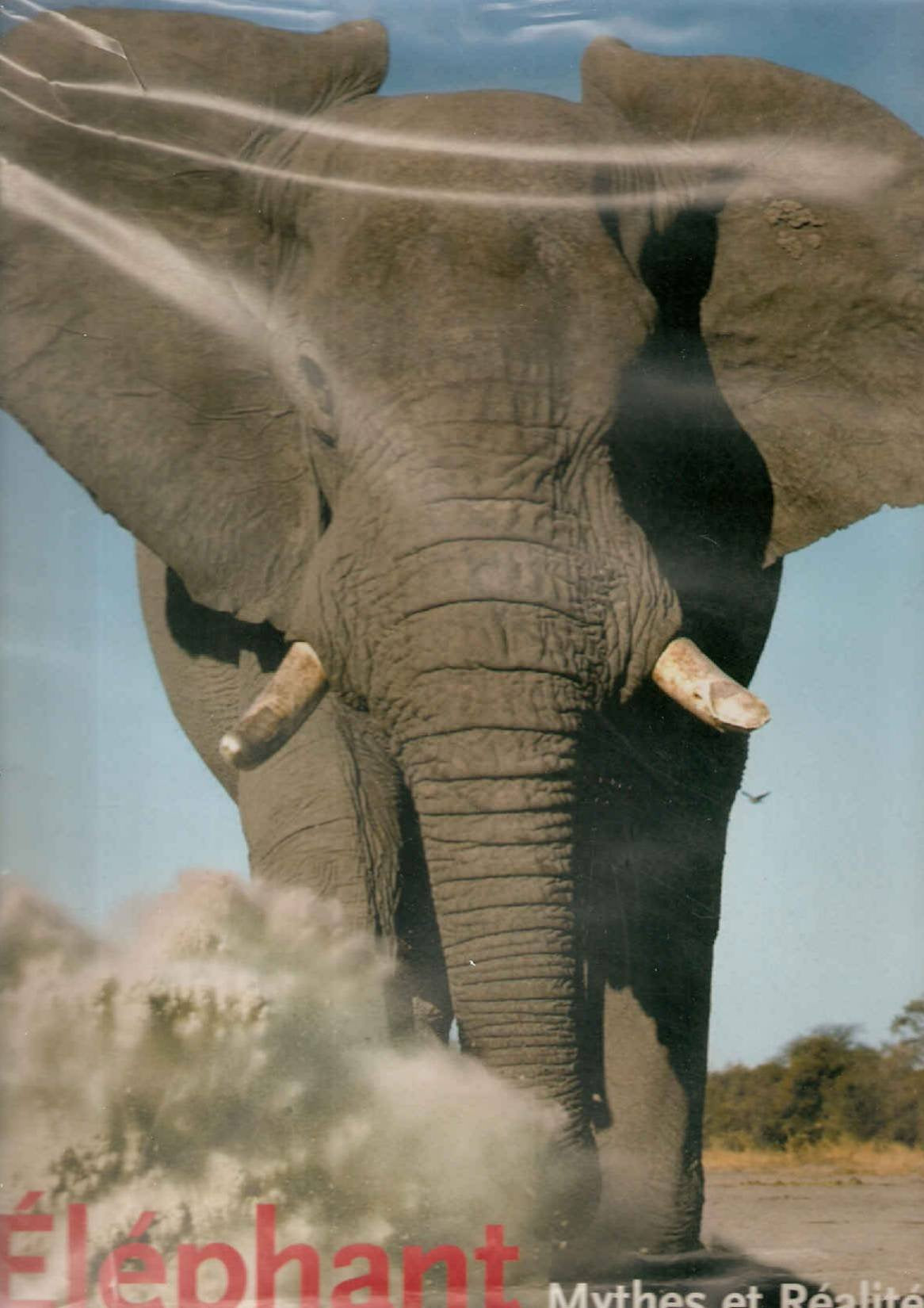 L'Eléphant 9783829017503