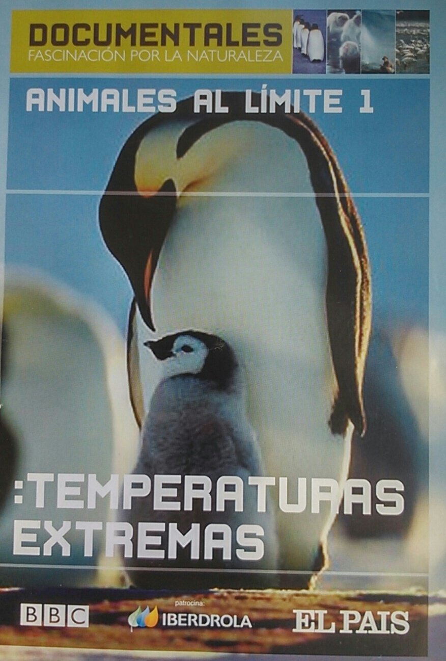 Cuentos infantiles. La bella y la bestia Nº 24 - Para leer, jugar y aprender 9788496412781