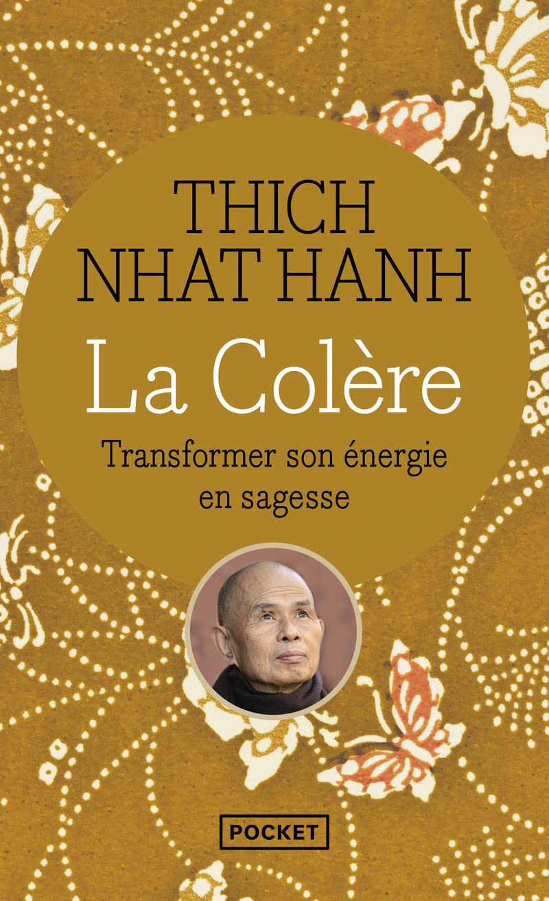 La Colère : Transformer son énergie en sagesse 9782266126168