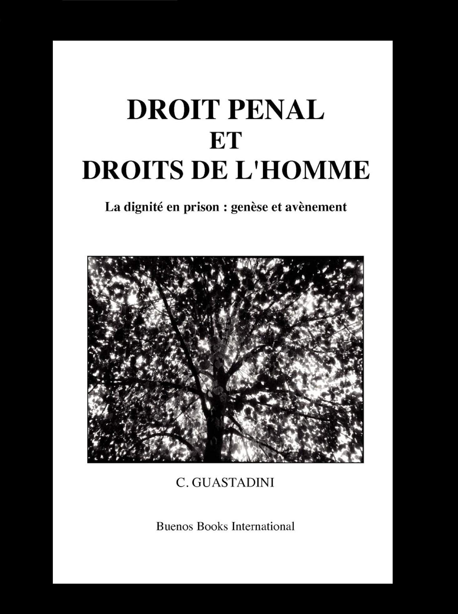 Droit Penal et Droits de l'Homme: La dignite en prison : genese et avenement 9782915495805