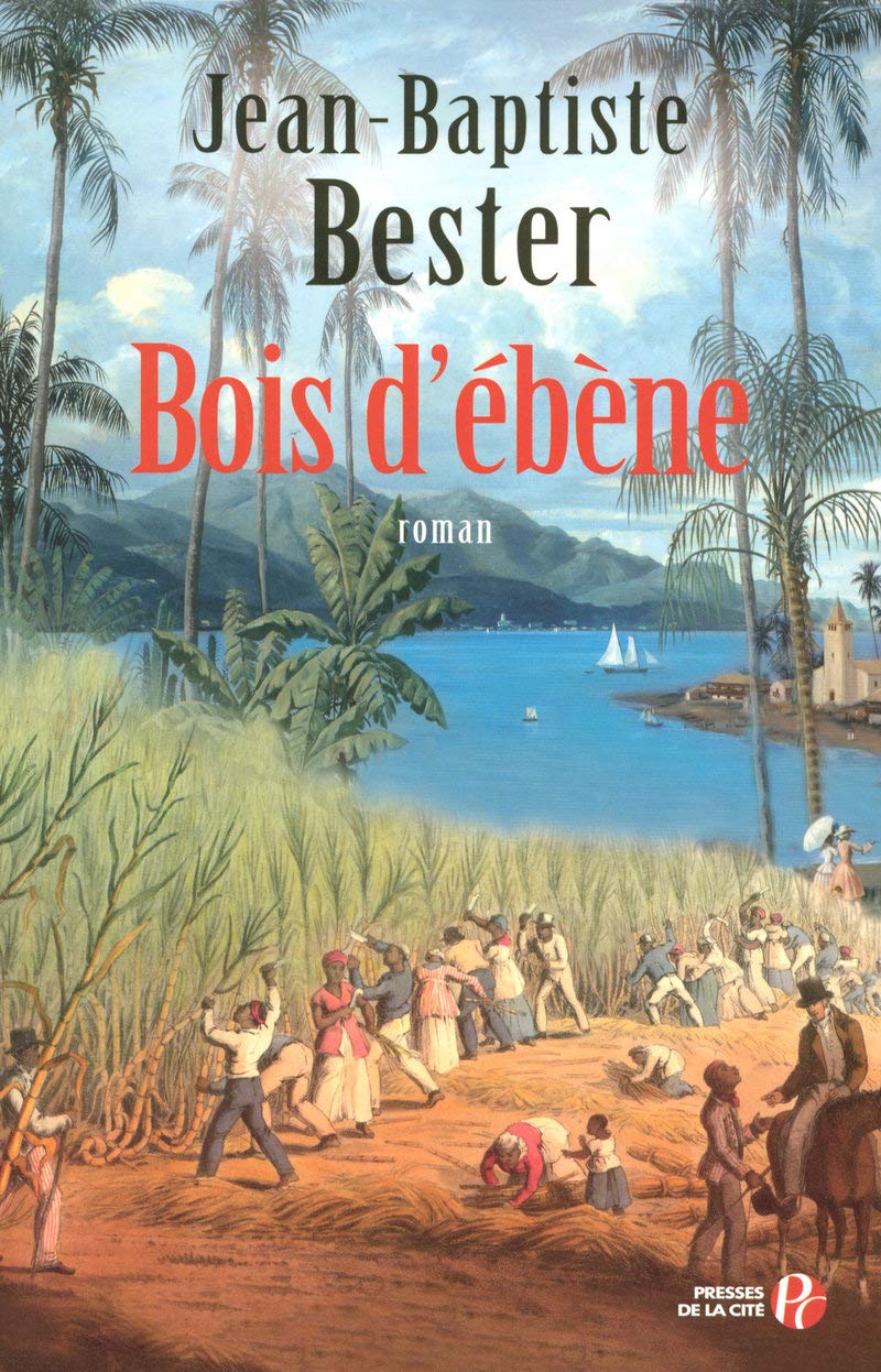 Bois d'ébène 9782258075214