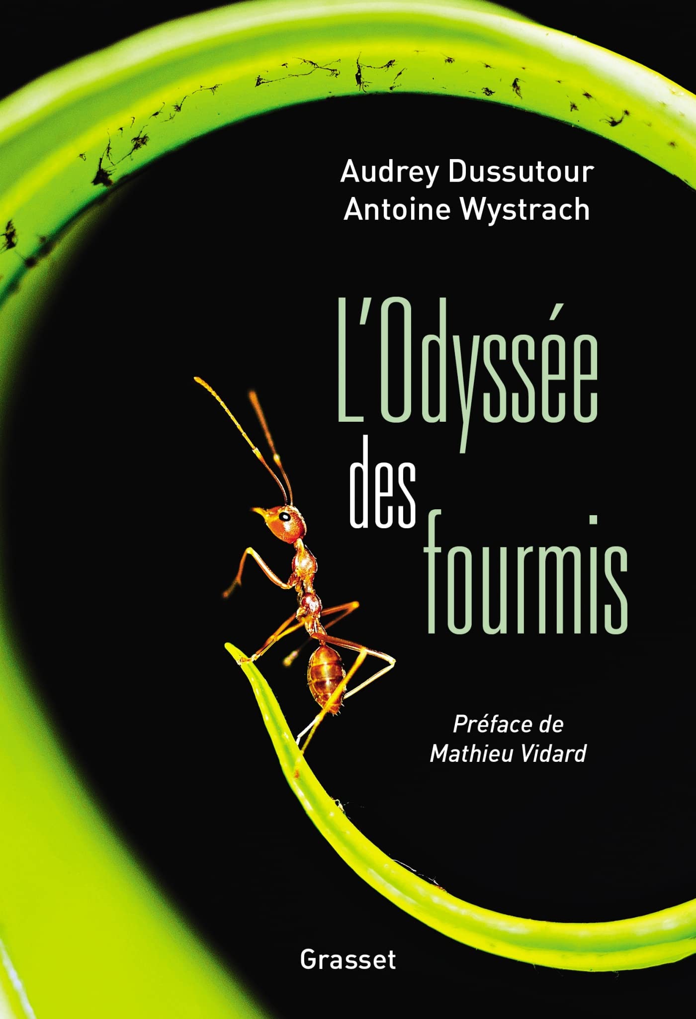 L'Odyssée des fourmis: Préface de Mathieu Vidard 9782246817192