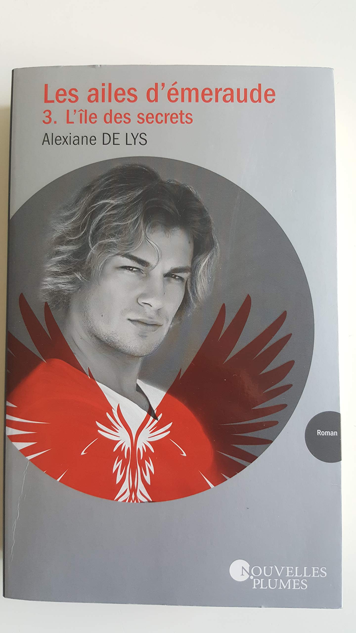 Les ailes d'émeraude, tome 3 : L'île des secrets 9782298125740