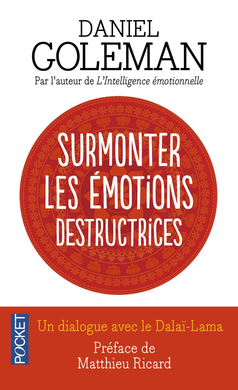 Surmonter les émotions destructrices: Un dialogue avec le Dalaï-Lama 9782266146142