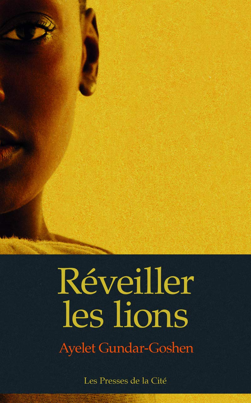 Réveiller les lions 9782258133846