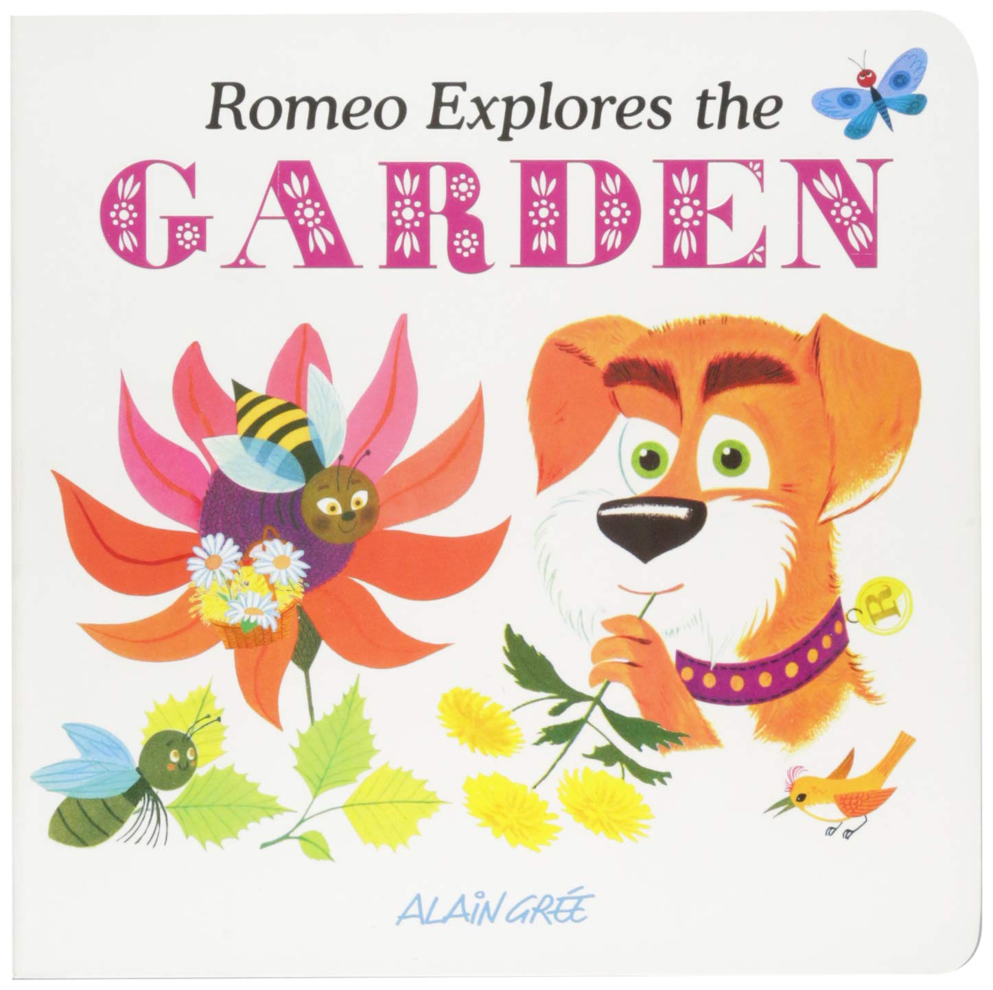 Romeo Explores the Garden 9781787080140