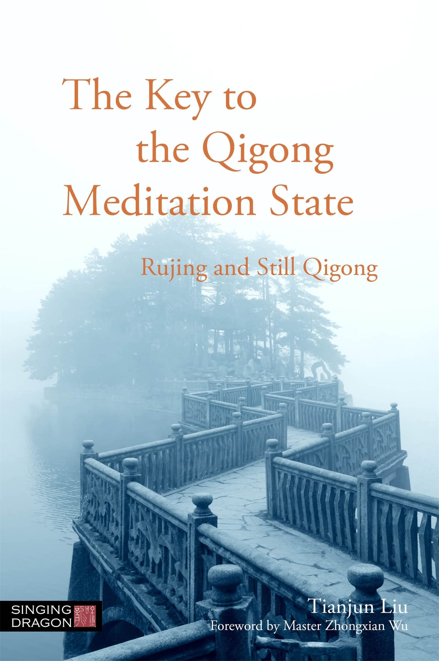 The Key to the Qigong Meditation State 9781848192324