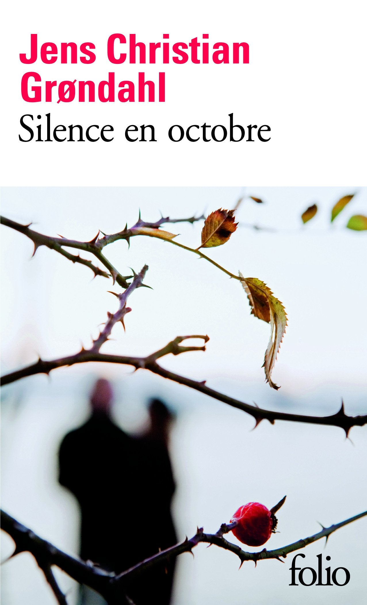 Silence en octobre 9782070443901