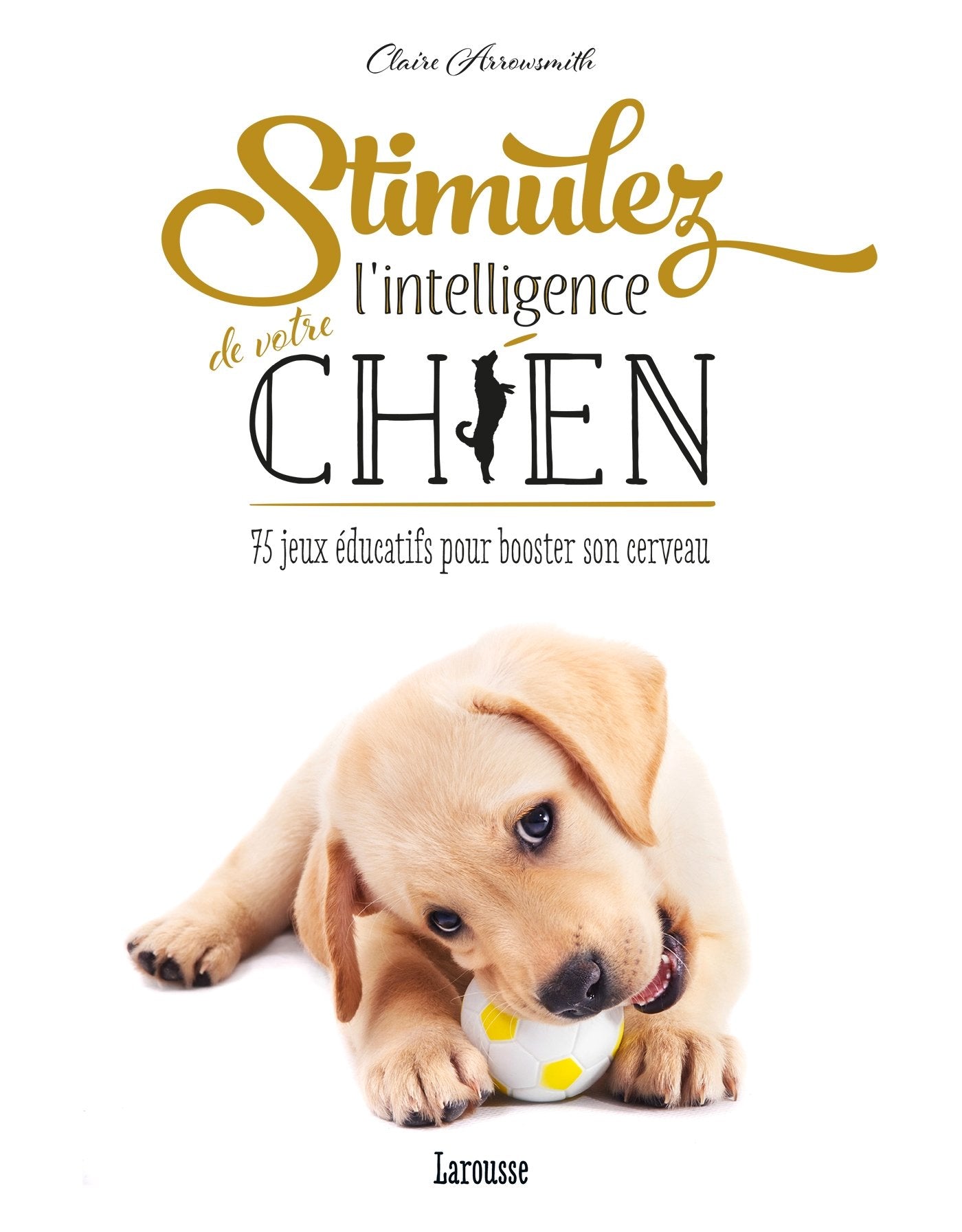 Stimulez l'intelligence de votre chien 9782035924711