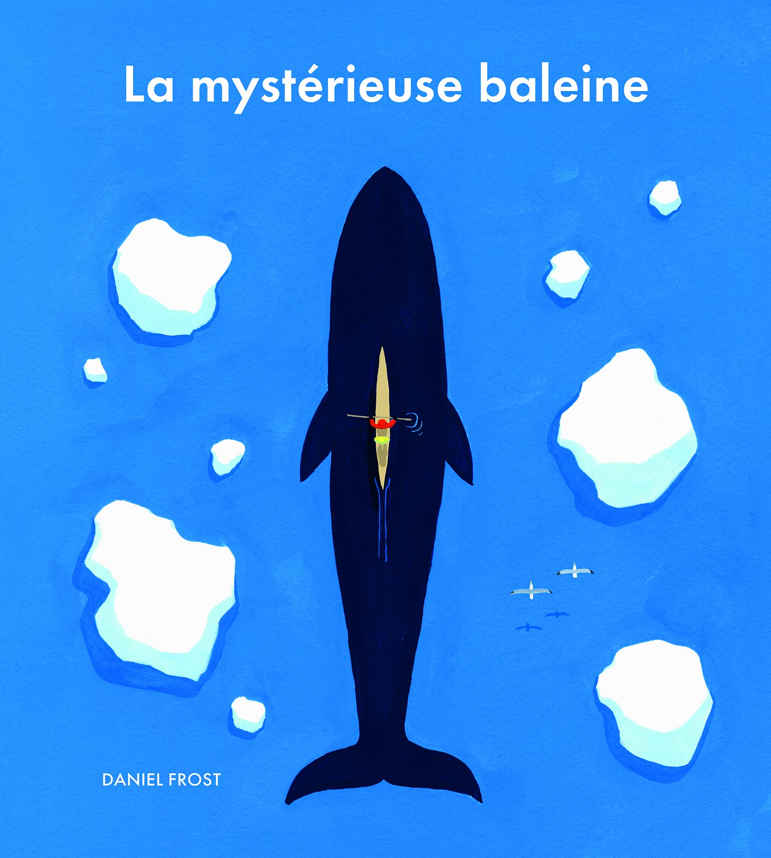 La mystérieuse baleine 9782211306089