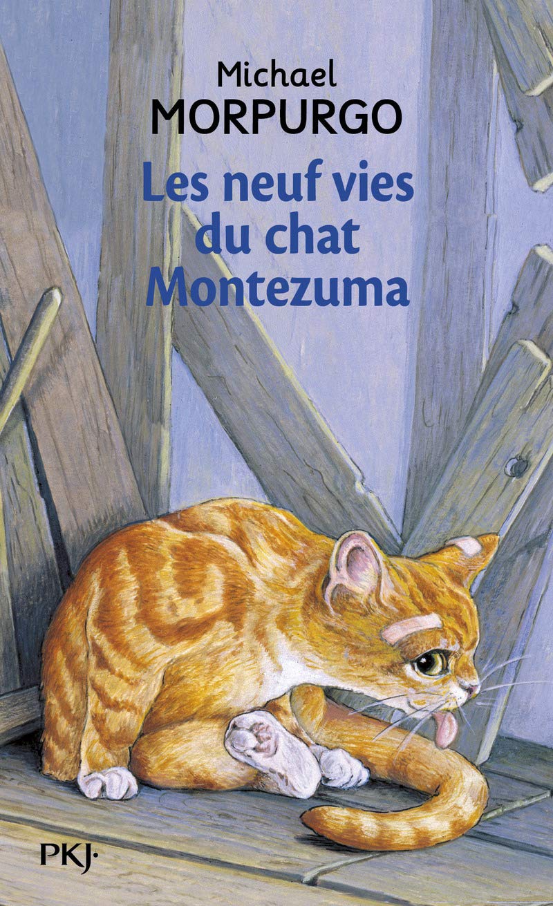 Les Neuf Vies du chat Montezuma 9782266087803