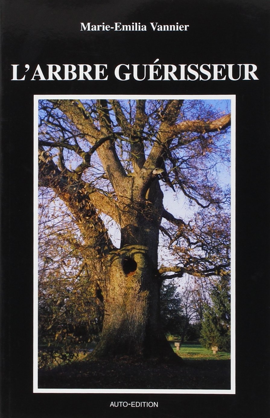 L'Arbre guérisseur 9782951533417