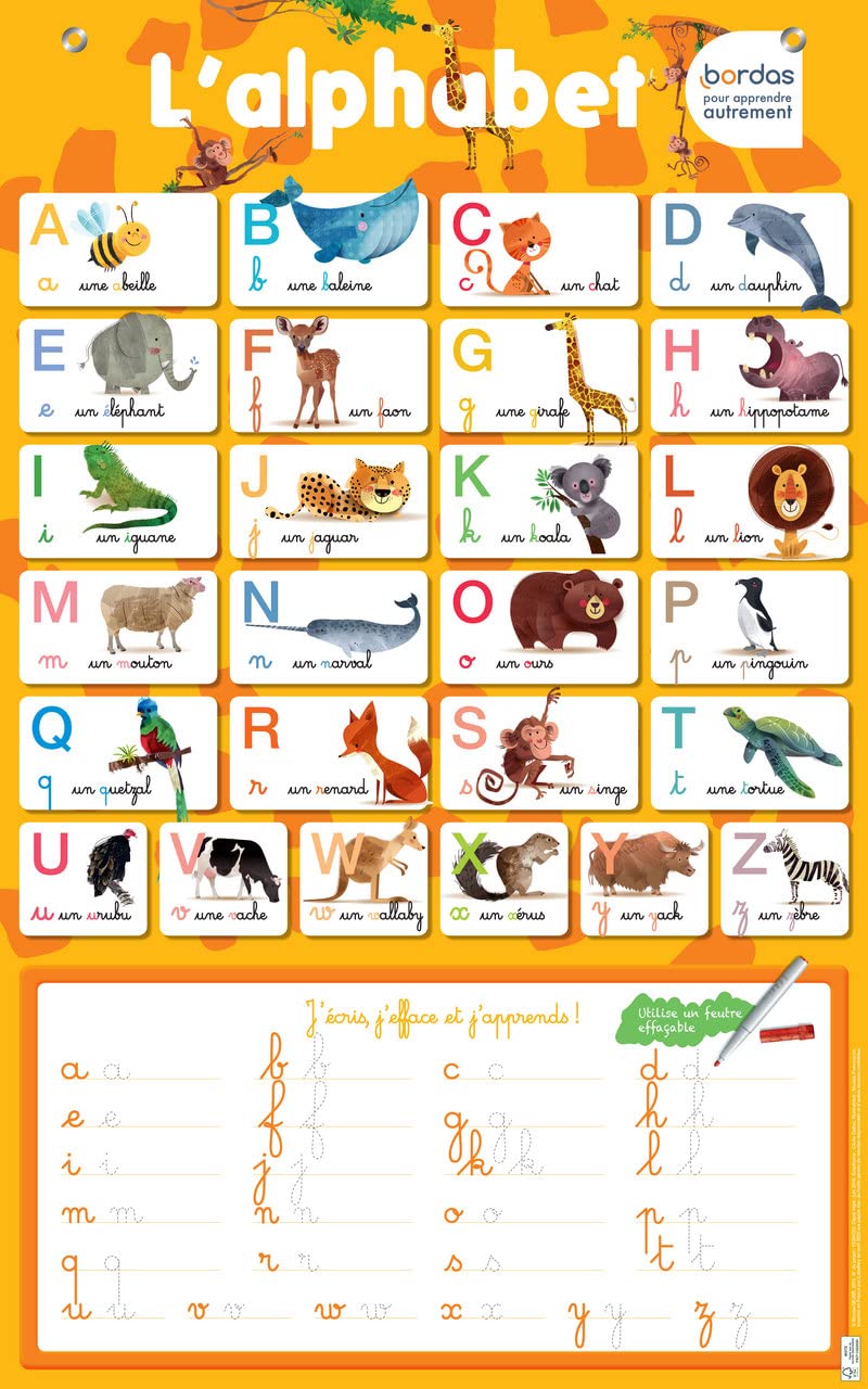 Les Posters effaçables - L'alphabet 3133097352060