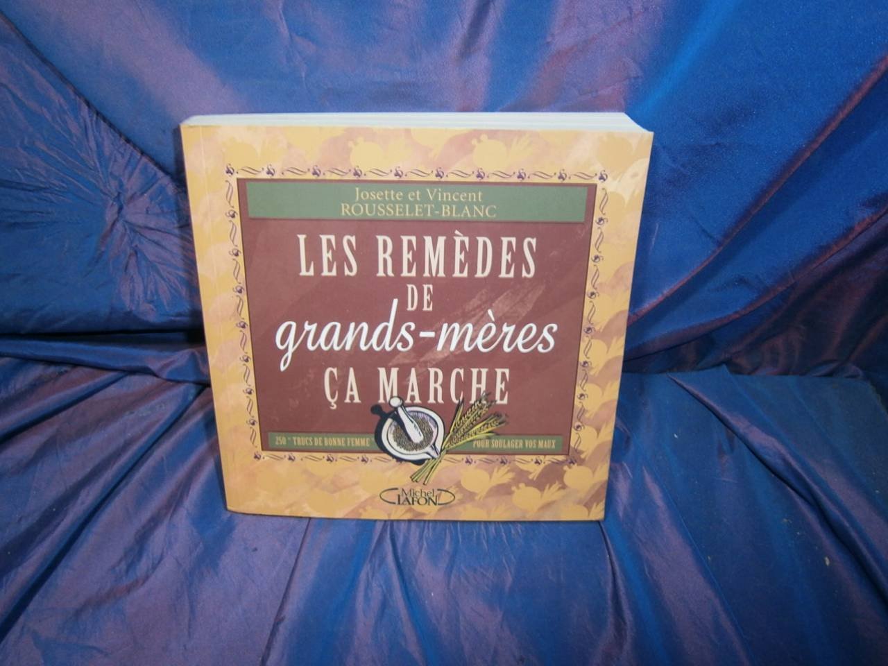 Les remèdes de grands-mères, ça marche 9782840987444