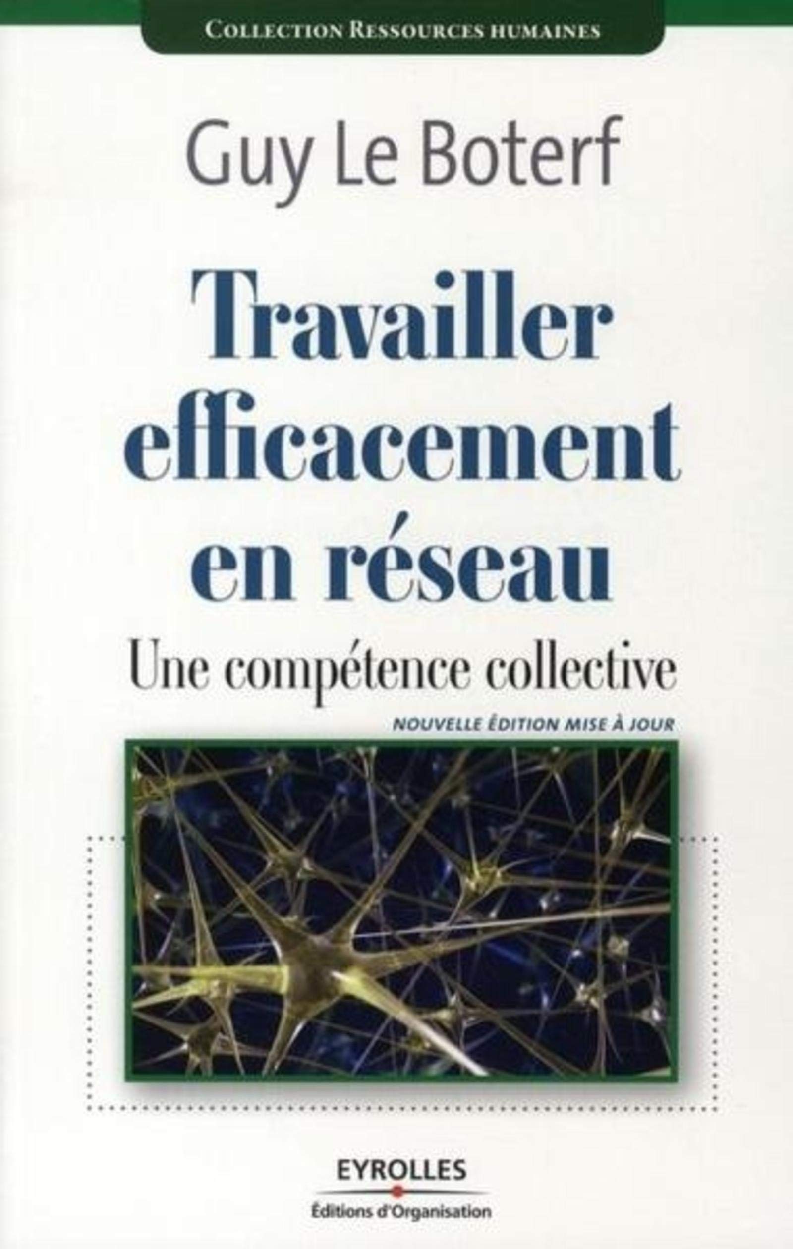 Travailler efficacement en réseau: Une compétence collective 9782212541274