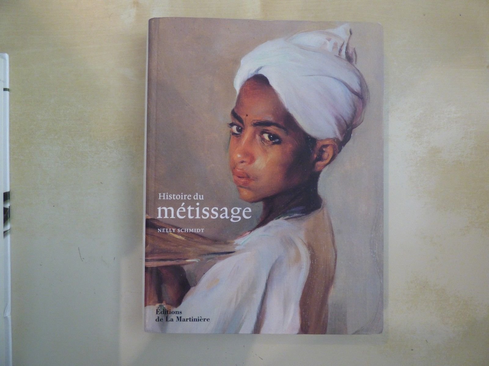 Histoire du métissage 9782732430478
