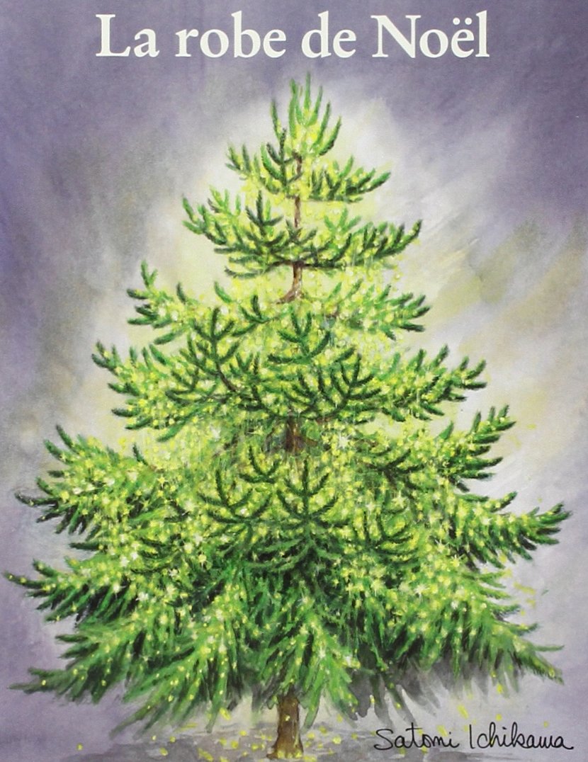 Robe de Noël (La) 9782211077927