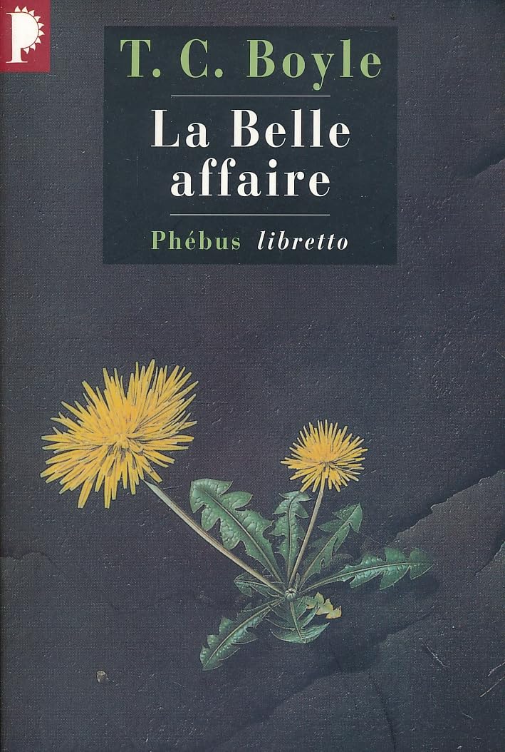 La Belle affaire 9782859407940