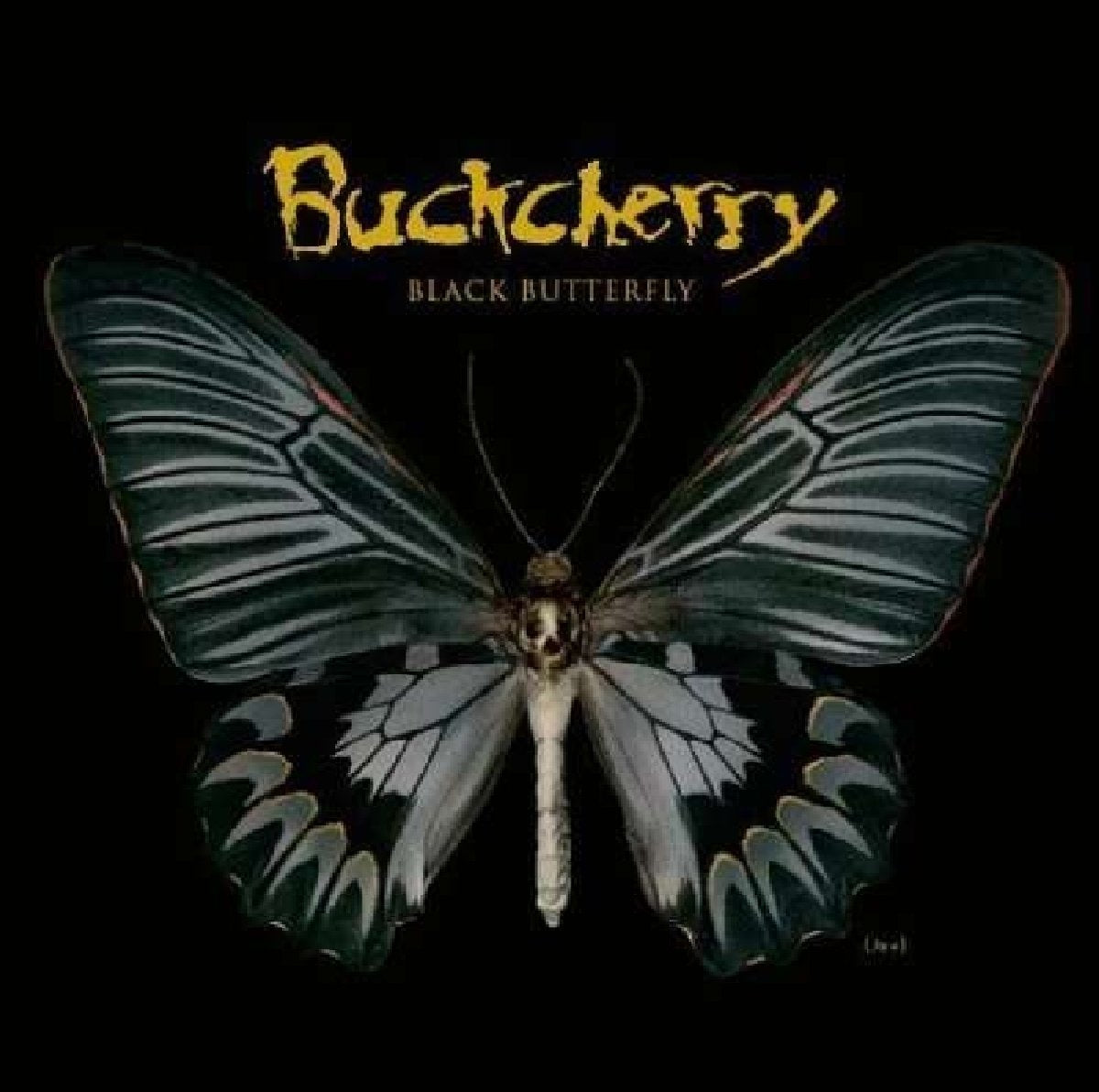 Black Butterfly 0846070040023