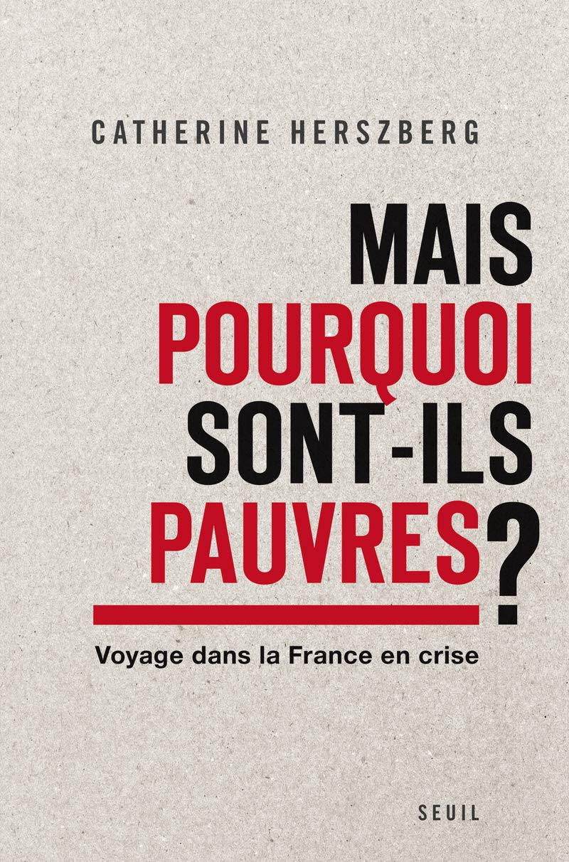 Mais pourquoi sont-ils pauvres?: Voyage dans la France en crise 9782021023947