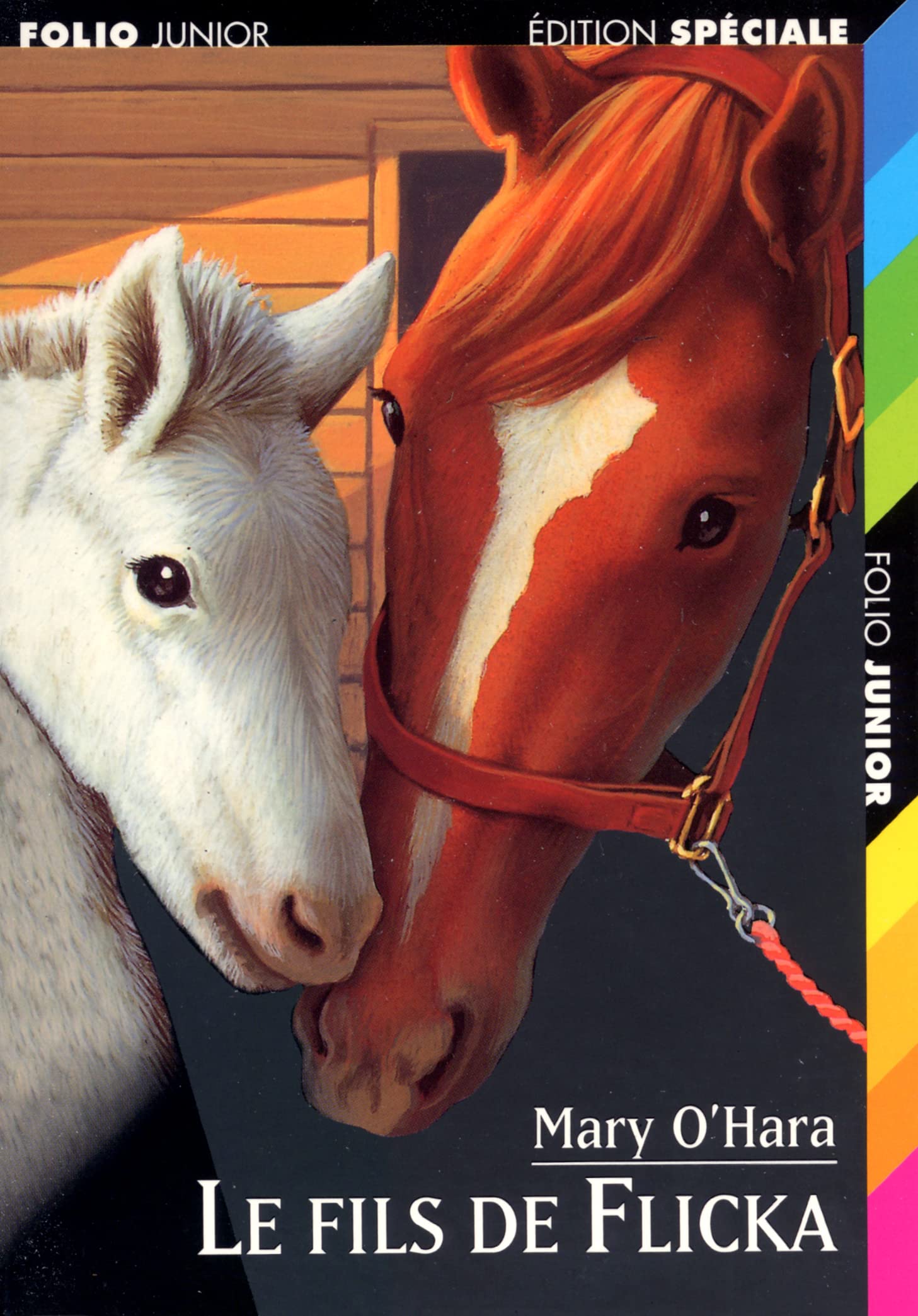 Le Fils de Flicka 9782070514113