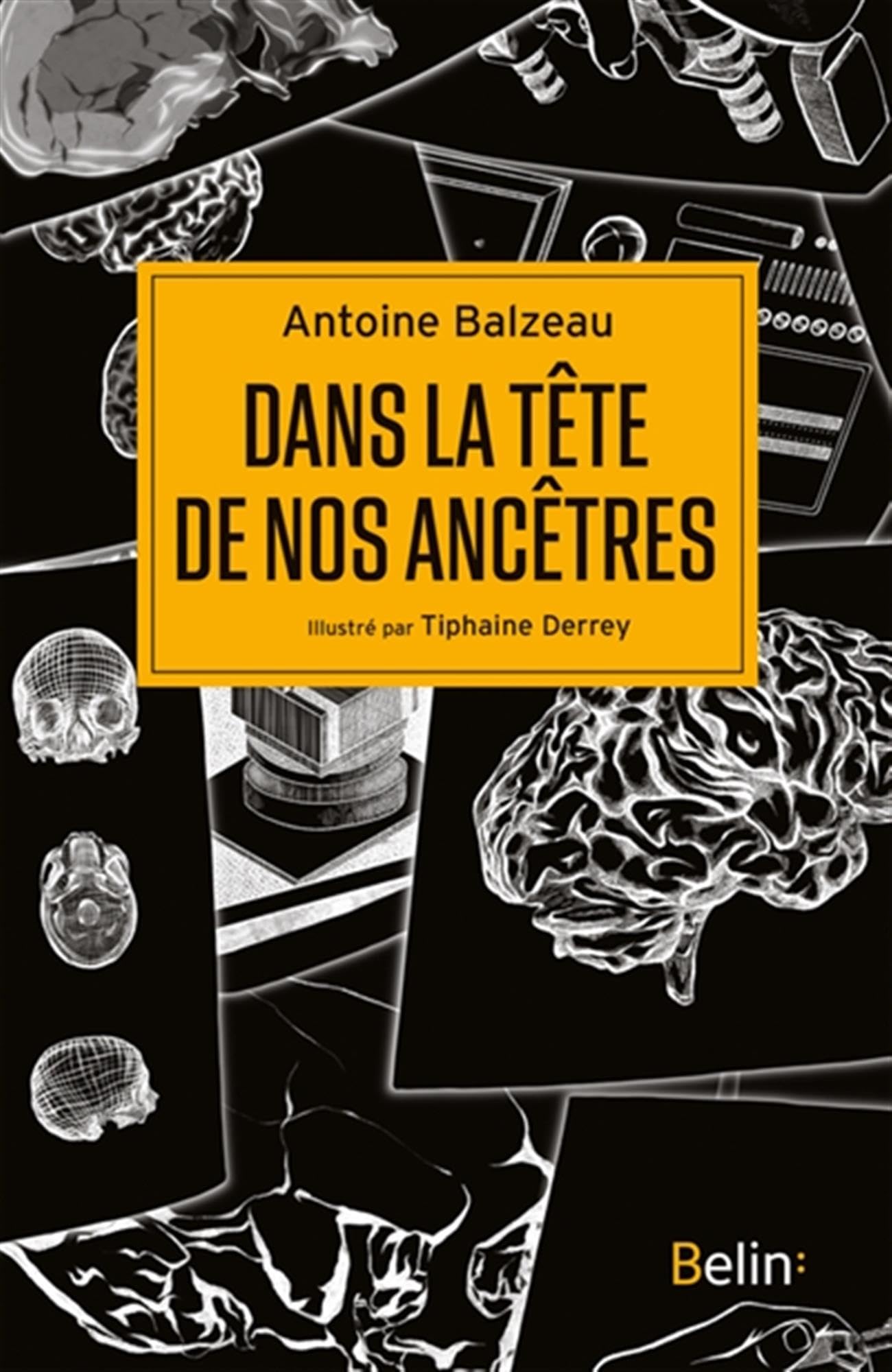 Dans la tête de nos ancêtres 9782410029741