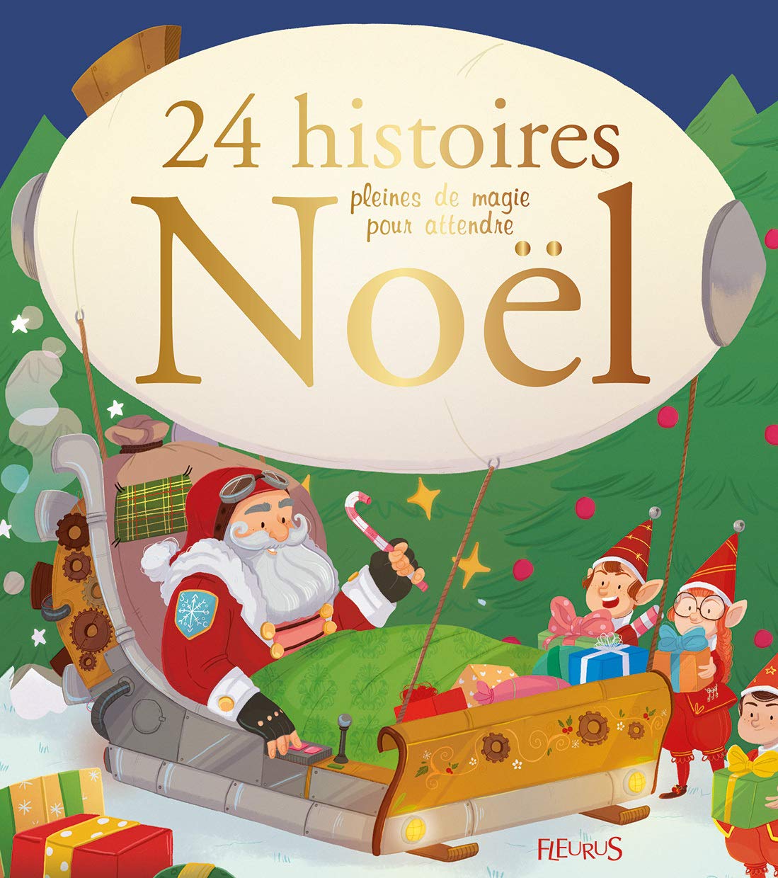 24 histoires pleines de magie pour attendre Noël 9782215128892