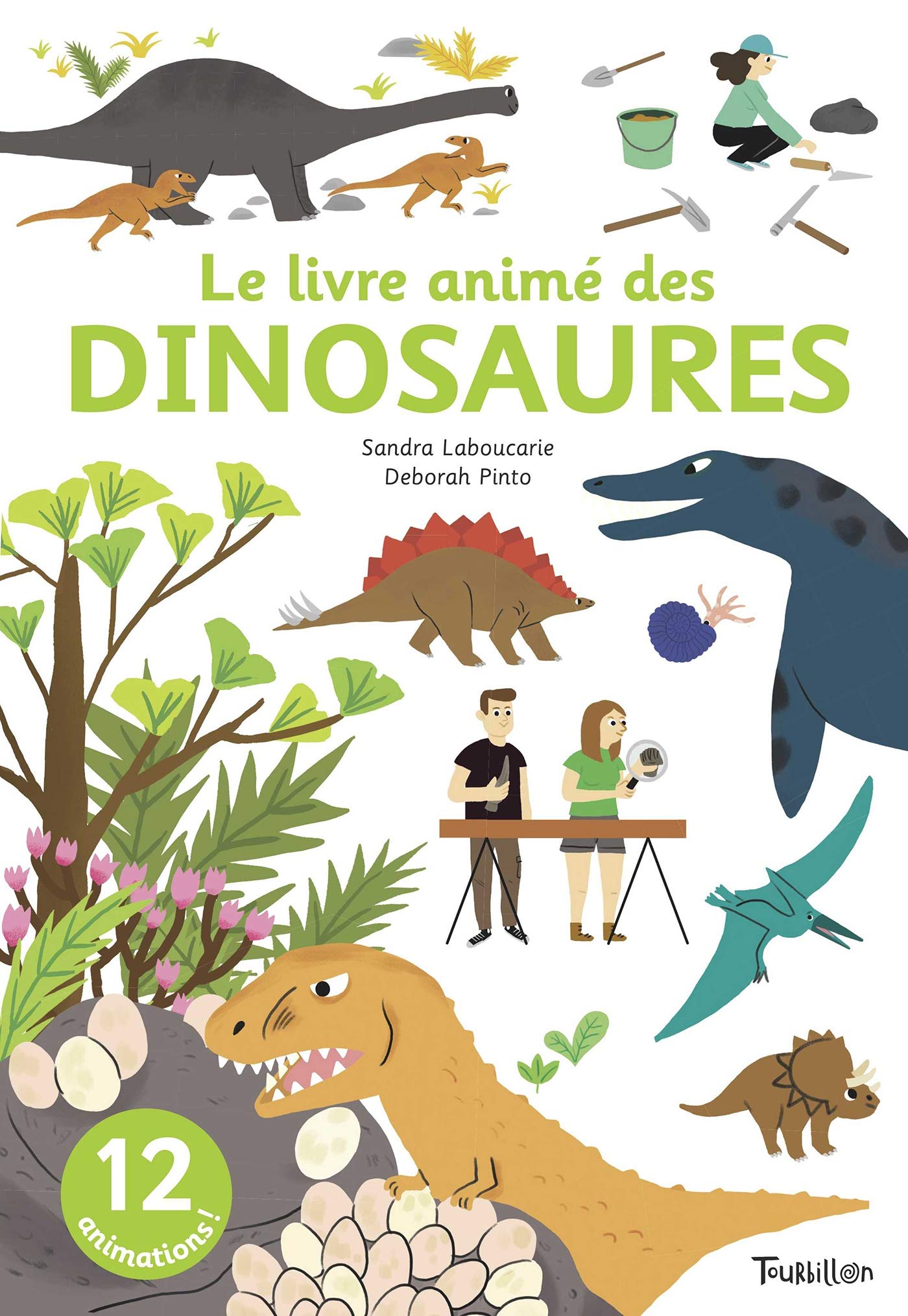Les dinosaures 9791027603534