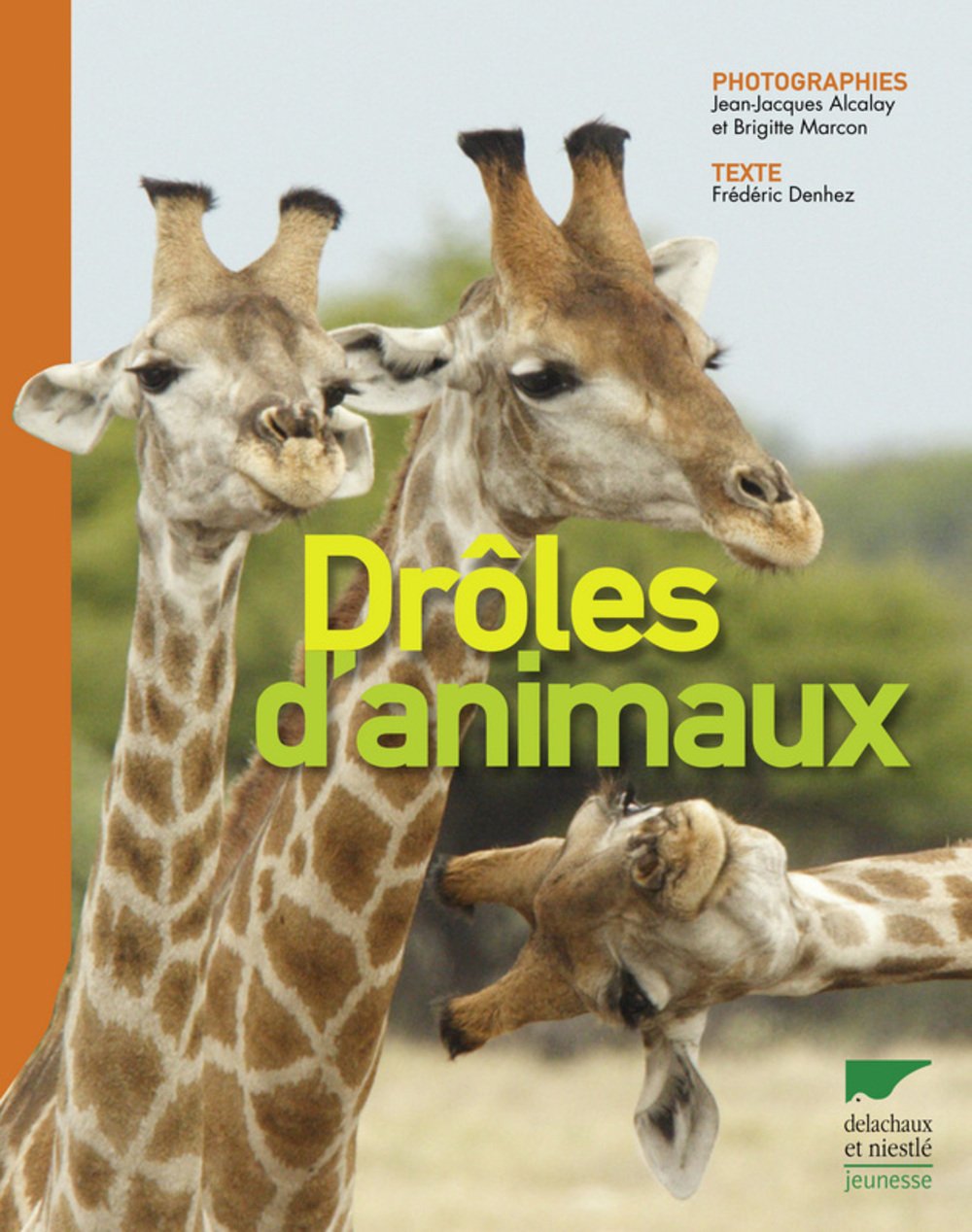 Drôles d'animaux 9782603015933