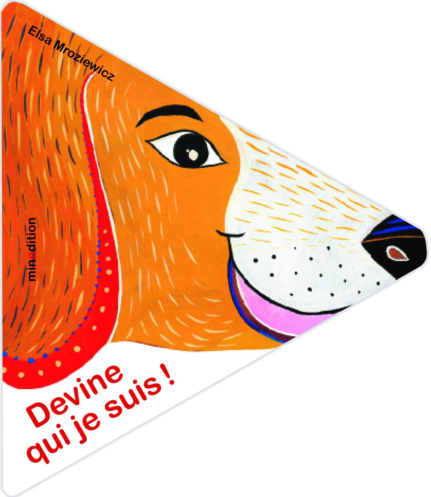Devine qui je suis ! 9782354133962