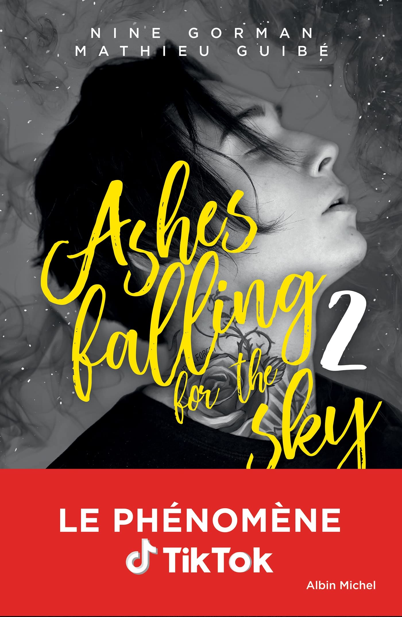 Ashes falling for the sky - tome 2: Sky burning down to ashes 9782226442857