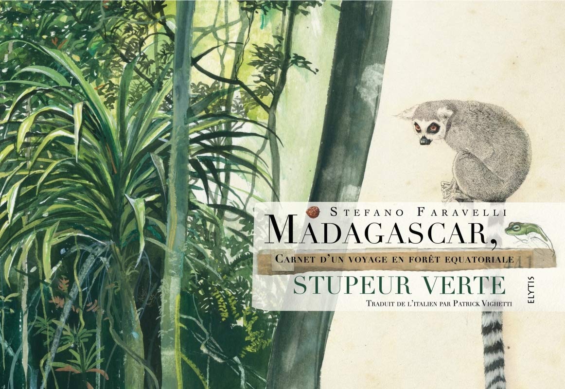 Madagascar, stupeur verte: Carnet d'un voyage en forêt équatoriale 9782356392305