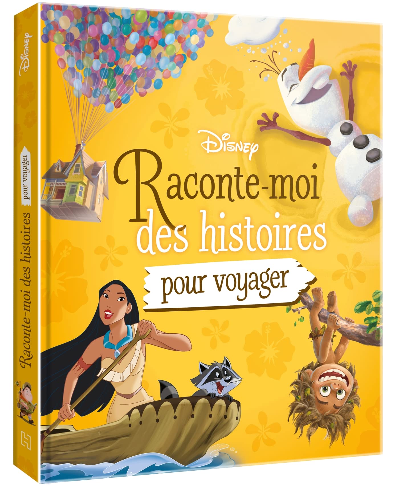 DISNEY - Raconte-moi des histoires pour voyager 9782017116981