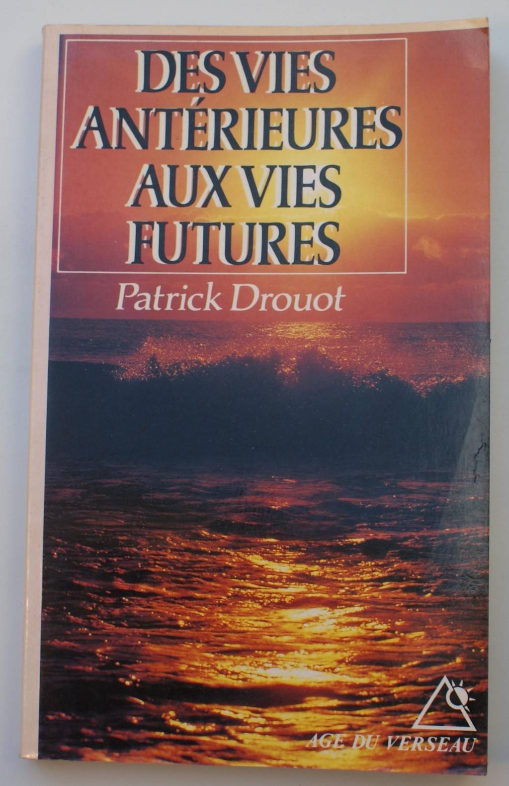 Des vies antérieures aux vies futures 9782268016177
