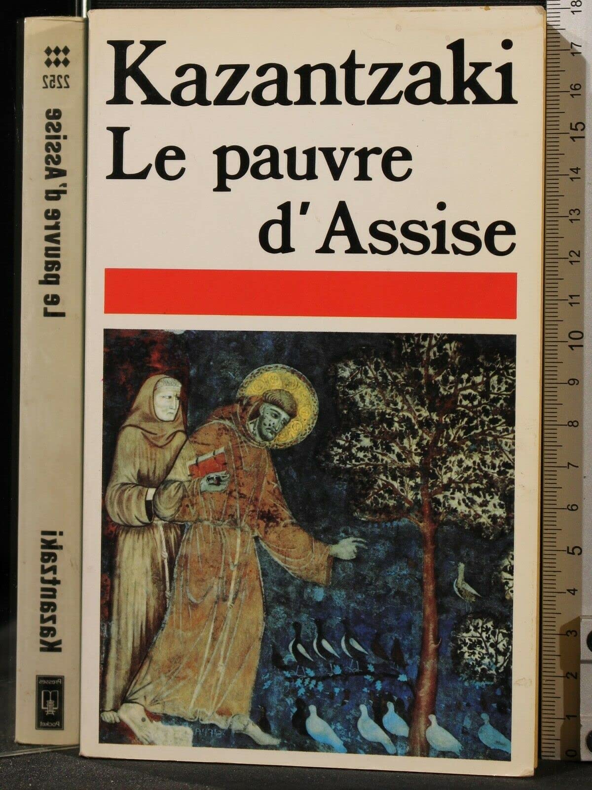 Le Pauvre d'Assise (Presses pocket) 9782266013956