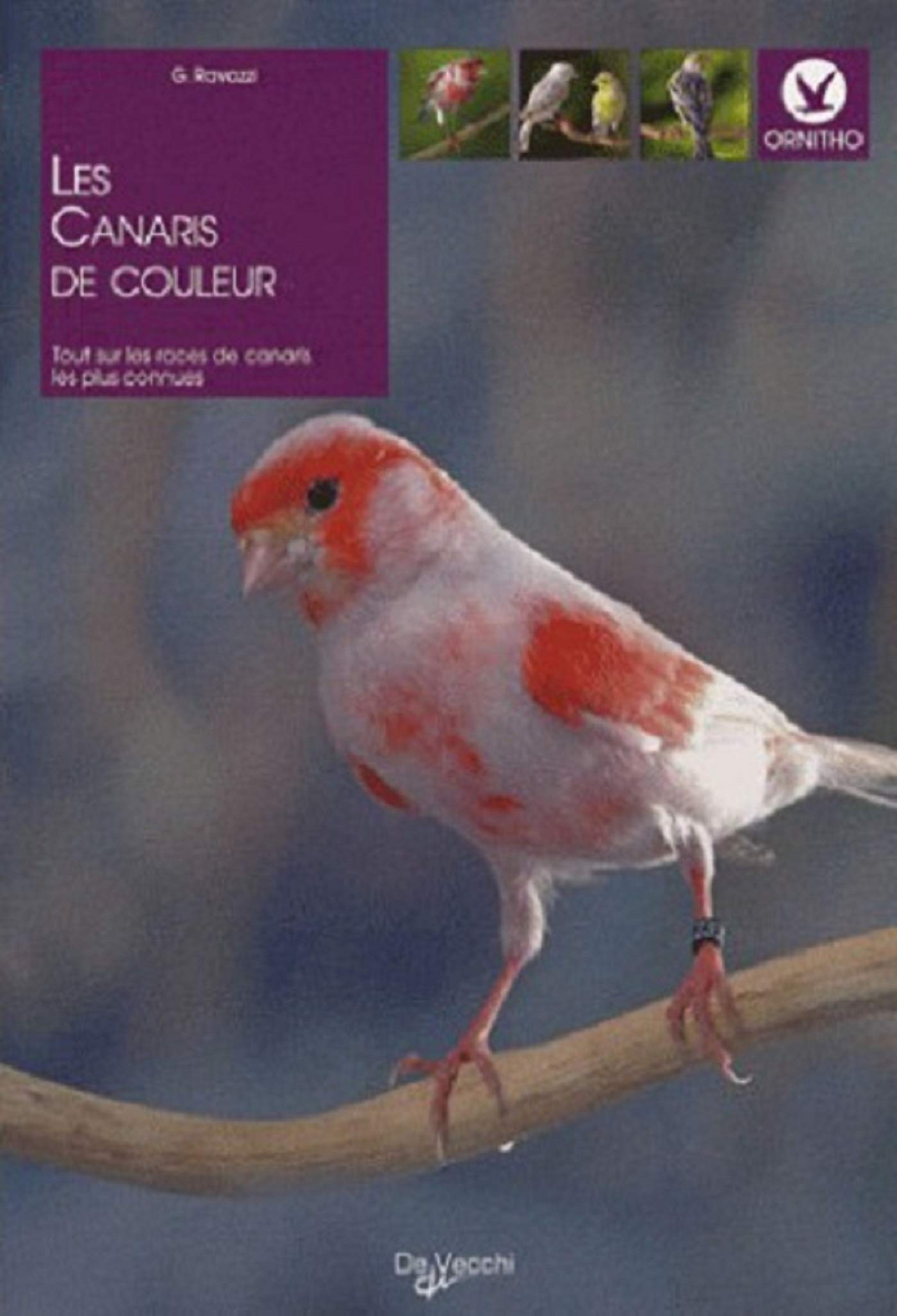 Les canaris de couleurs 9782732889061