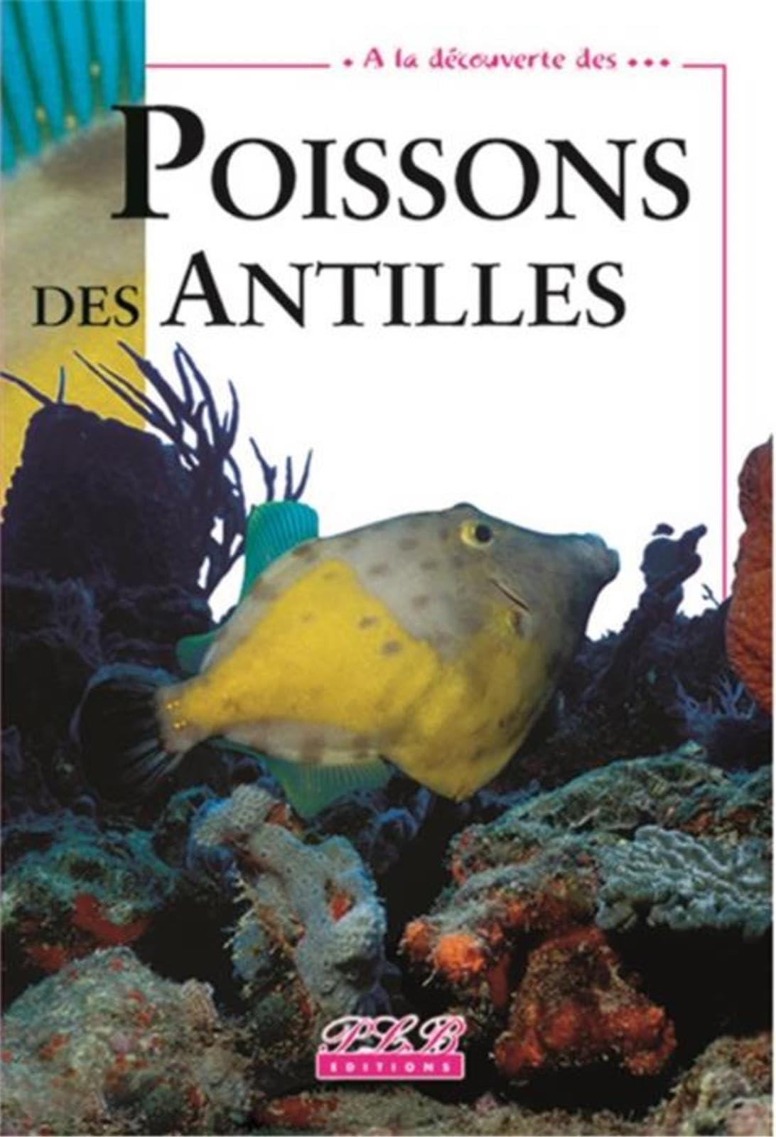 A la Découverte des... Poissons des Antilles 9782353650866